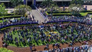 2019 Breeders’ Cup World Championships, Eclipse Sportswire